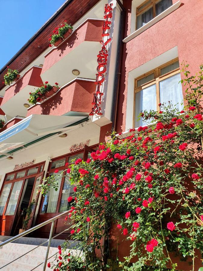 Yagodina Family Hotel エクステリア 写真